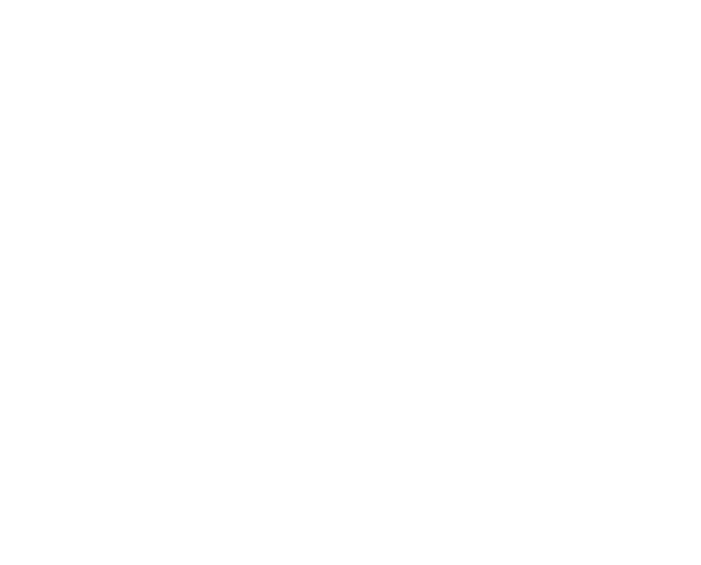 Proceso de gestión y cuidado de montes de pino para producción responsable